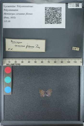 Media type: image;   Entomology 179686